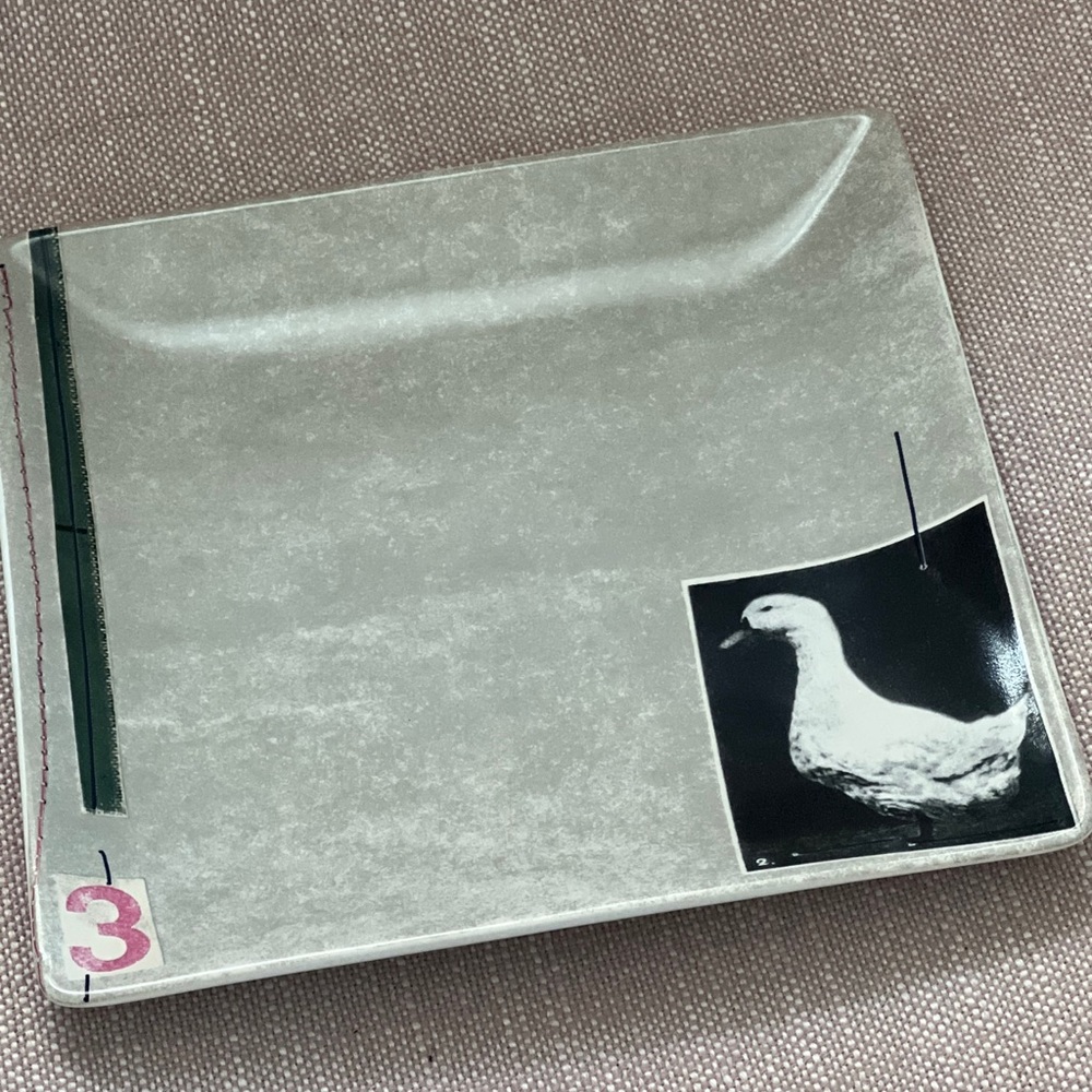 West Elm duck goose Square Plate gray salad appetizer dessert bread 7 3/4”